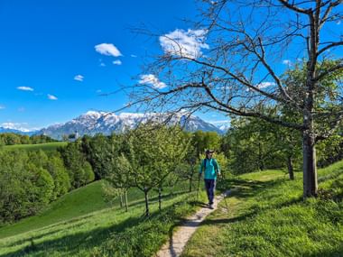 Bavarian Way of St James at Johannishögl in Piding