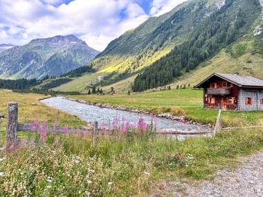 Traditionelle Almhütte aus Holz neben einem Gebirgsbach im Krimmler Achental, umgeben von grünen Wiesen, rosa Wildblumen und bewaldeten Gipfeln.
