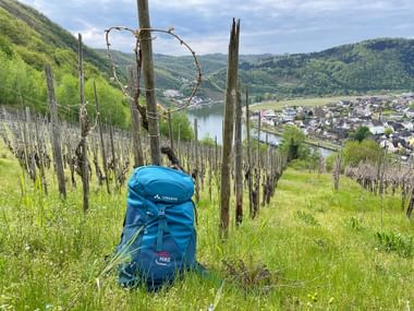 VAUDE Backpack Moselle Eifelsteig Calmont