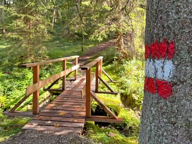 Rundwanderung Bichlach Kitzbühel