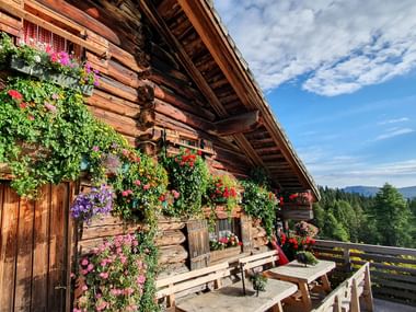 Traditional wooden alpine hut at Pitschenbergalm with colorful hanging flower baskets, wooden benches, and mountain views under blue sky.