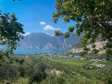 Panoramablick auf den Gardasee, eingerahmt von grünen Bäumen, mit türkisfarbenem Wasser, Dörfern, Weinbergen und Bergen unter blauem Himmel.