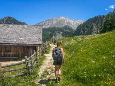 Wanderin mit Rucksack auf Feldweg durch blühende Wiese im Berchtesgadener Land, mit Holzzaun, Almhütte und Bergen.