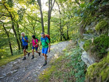 Morgenstimmung auf den Wanderwegen im Spessart