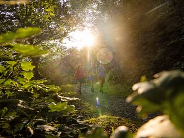 Wanderer unterwegs im Wald in der Abendsonne