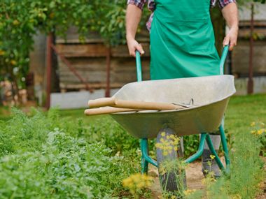 Gartenarbeit mit einer Scheibtruhe