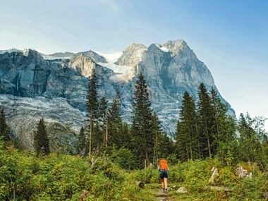 Hikers in the hamlet of Schwarzwaldalp with the Wetterhorn in view Hikers in the hamlet of Schwarzwaldalp with the Wetterhorn in view