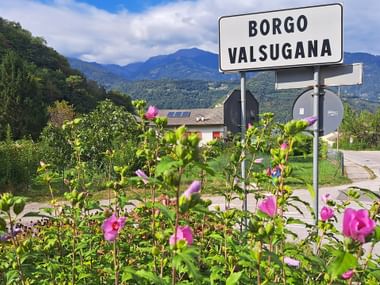 Town sign behind pink roses
