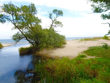 Stenshuvud Nationalpark Oesterlenleden