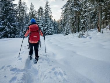 Wanderer mit rotem Rucksack und blauer Mütze geht mit Stöcken durch tiefen Schnee auf Waldweg, umgeben von schneebedeckten Nadelbäumen.