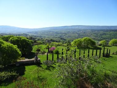 Panoramablick auf grüne Hügel und Weinberge in der Provence. Üppige Gärten mit Zypressen im Vordergrund, ferne Berge unter klarem Himmel.