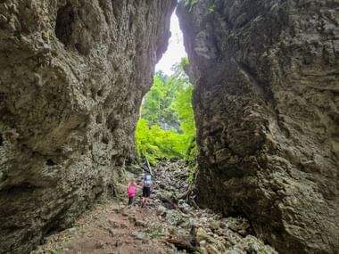 Familie von Wanderern geht durch enge Pokljuka-Schlucht mit hohen Felswänden. Hellgrüne Vegetation durch die Öffnung oben sichtbar.