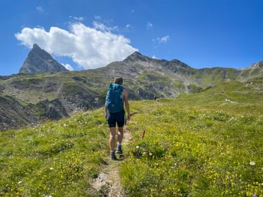 Wanderin mit blauem Rucksack auf Bergpfad durch blühende Almwiese in den Allgäuer Alpen mit Felsgipfeln und blauem Himmel.