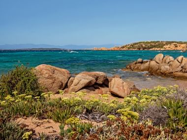 One of the beaches of La Maddalena