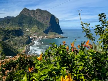 Colorful flowers frame a coastal view of Porto da Cruz in Madeira with a dramatic cliff, village, and blue ocean under a clear sky.