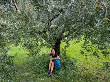 Wanderin mit blauem Rucksack sitzt unter großem Olivenbaum auf grüner Wiese am Gardasee, umgeben von silbergrünen Olivenzweigen.
