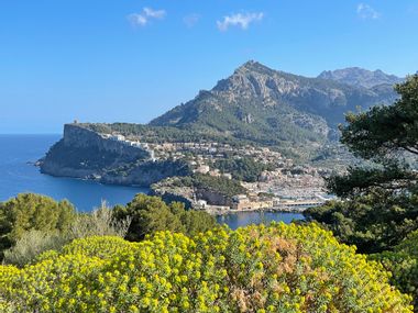 View over yellow flowering tree spurge bushes to the coastal town of Port de Soller, with the mountains in the background