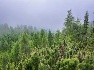 Monte Sante di Lussari im Friaul