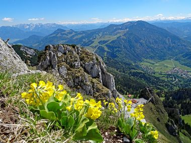 Hiking tour on moutain Wendelstein with mountain view and flowers