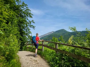 Hiker with blue backpack at wooden fence viewpoint overlooking forested mountain near Bad Goisern on the Ten Lakes Trek.
