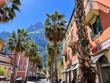 Palmengesäumte Straße in Riva del Garda mit bunten Gebäuden und Bergkulisse. Klarer blauer Himmel über dem Zentrum.