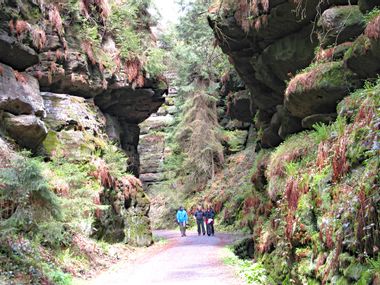 Unique hiking path in Saxon Switzerland