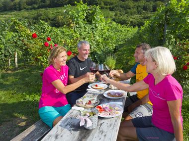 Wandergruppe in der Wachau sitzt an einem Tisch bei einer Jause und stoßt mit einem Glas Rotwein an