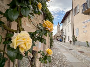 Yellow roses bloom along a cobblestone street in Bossolasco, Piedmont, with traditional houses and a church tower visible in the background.