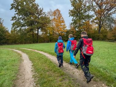 Drei Kinder mit bunten Rucksäcken gehen auf einem Feldweg durch eine grüne Wiese, umgeben von Bäumen mit Herbstlaub.