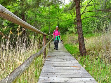 Wanderin auf Brücke im Wald