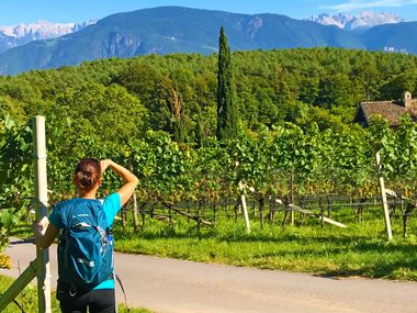 Lake Garda Hiker Vines