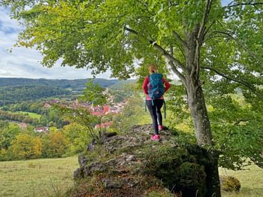 Wanderer genießt die Aussicht auf Pappenheim