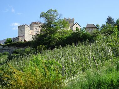 Churburg Castle in Schluderns