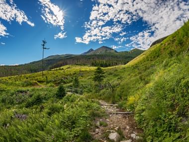 Steiniger Wanderpfad neben Farn- und Wiesenhängen, im Hintergrund die Berge der Hohen Tatra