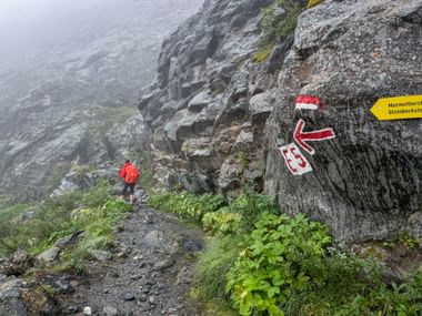 Wandersteig Alpenueberquerung E5 Pitztal 