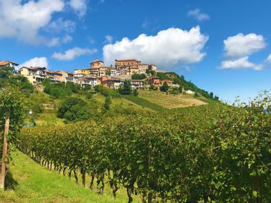 Panoramablick über Weingärten auf Barolo