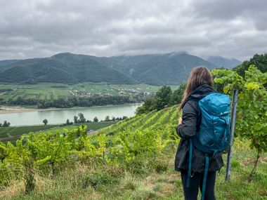 Female hiker with blue backpack standing in vineyard overlooking the Danube River and mountains in Wachau valley under cloudy skies.
