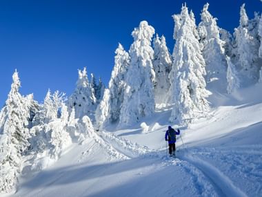 Winterwanderer mit Rucksack und Stöcken im Tiefschnee in Maria Alm-Dienten. Schneebedeckte Bäume vor blauem Himmel.