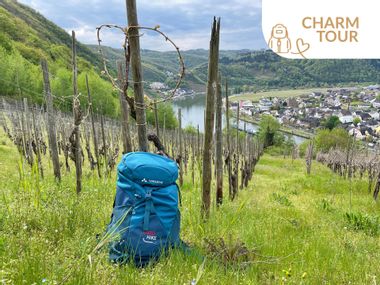 Rucksack in front of vines on the Moselsteig Trail
