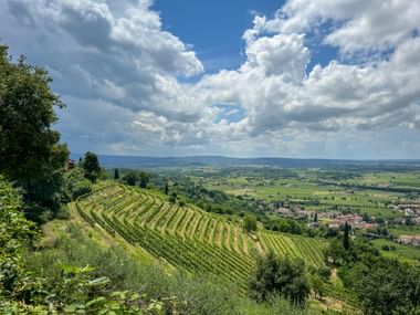 Panoramic view from Monte Quarin showing terraced vineyards on hillside overlooking Cormons town and Friuli countryside under cloudy sky.