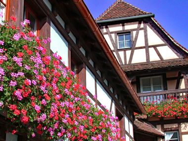 La maison à colomage mit wunderschönen Blumen auf der Wanderreise besichtigen