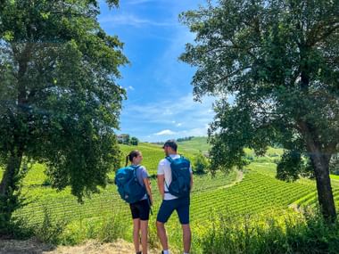 Wanderpaar mit Blick auf die sattgrünen Weinhaine