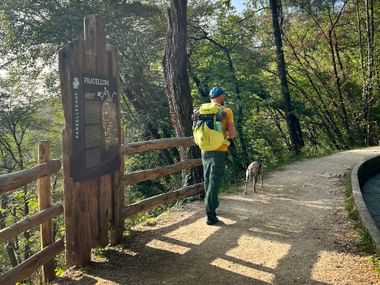 Wanderer mit gelbem Rucksack und Hund auf Waldweg beim Pardellerhof. Hölzernes Informationsschild und Zaun sichtbar, umgeben von dichtem Wald.