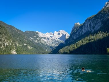 Person swimming in Gosausee lake with snow-capped Dachstein glacier and forested mountains under clear blue sky in Salzkammergut.