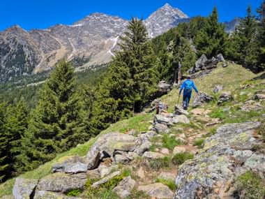 Hiker on the Merano High Mountain Trail