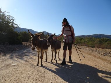 Wanderer mit Esel bei Hochebene Golgo