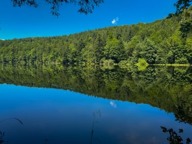 Nussensee lake in Salzkammergut with perfect mirror reflection of dense green forest and blue sky on calm water surface.