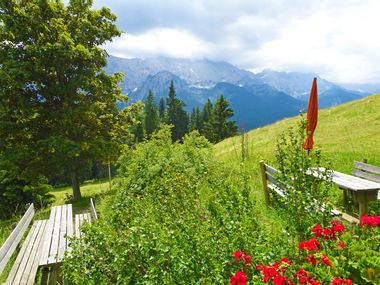 Alpine pasture on the Zugspitze