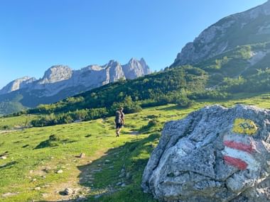 Wanderer am Gosaukamm