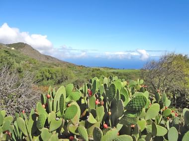 View of El Hierro